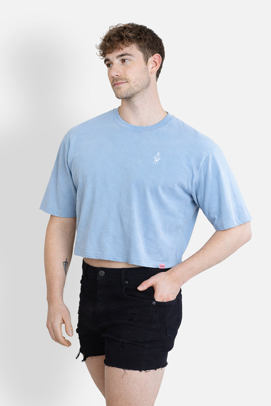 Oversized Relaxed Crop Top - Baby Blue